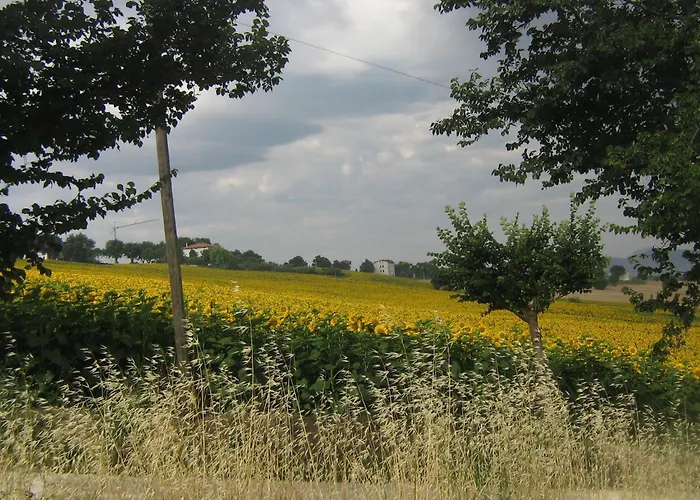 Il Giardino Degli Ulivi