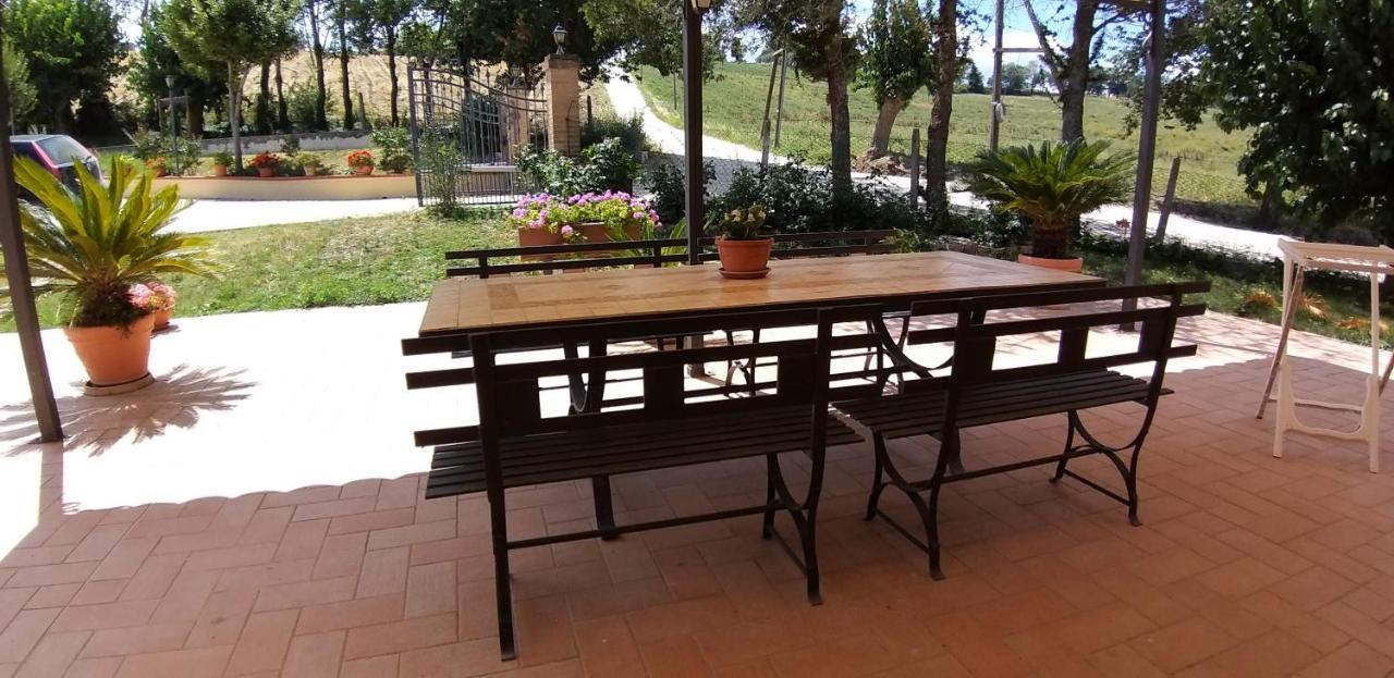 Il Giardino Degli Ulivi *