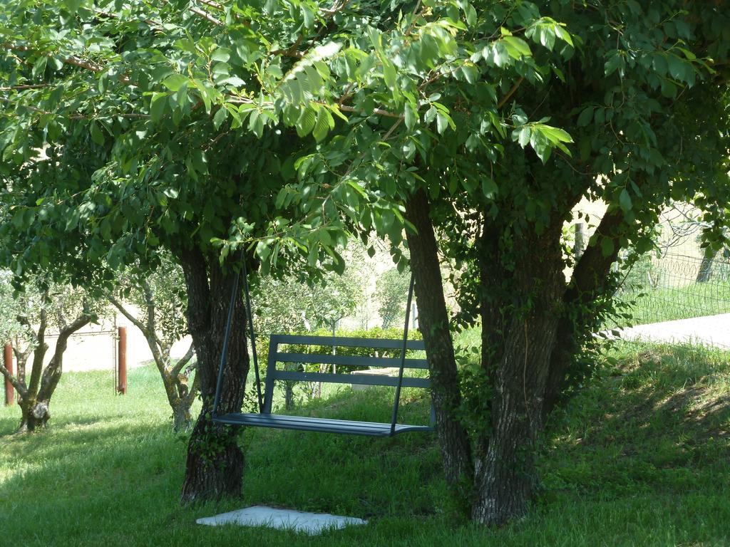 Il Giardino Degli Ulivi