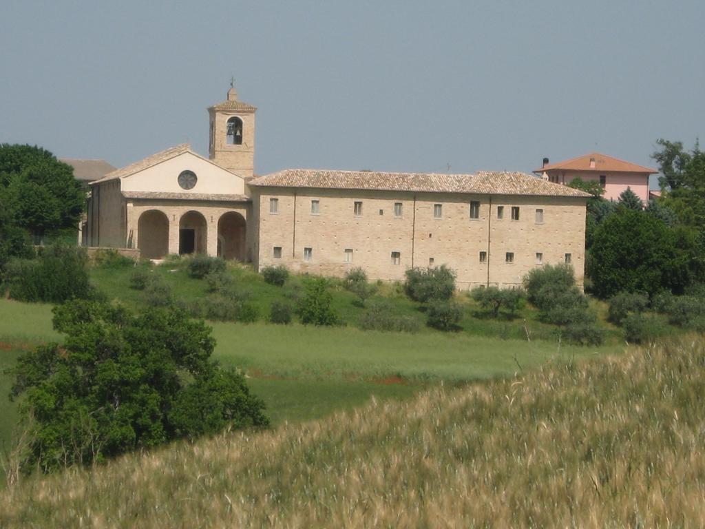 Il Giardino Degli Ulivi *