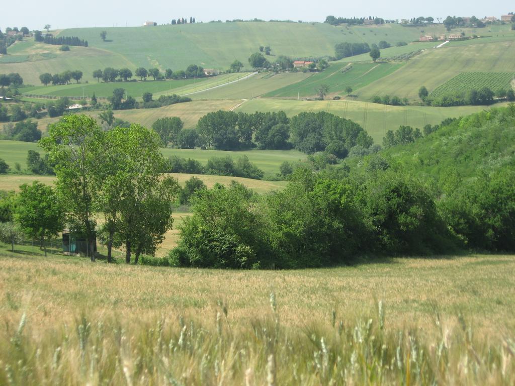 Il Giardino Degli Ulivi