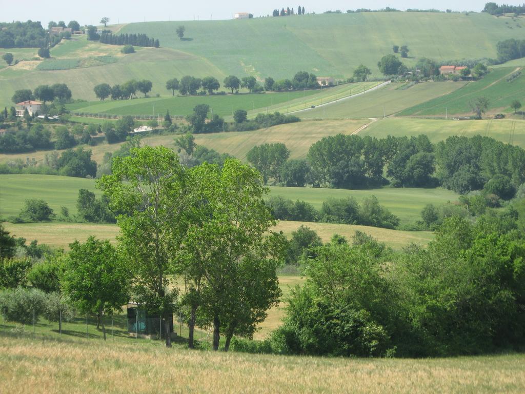 Il Giardino Degli Ulivi
