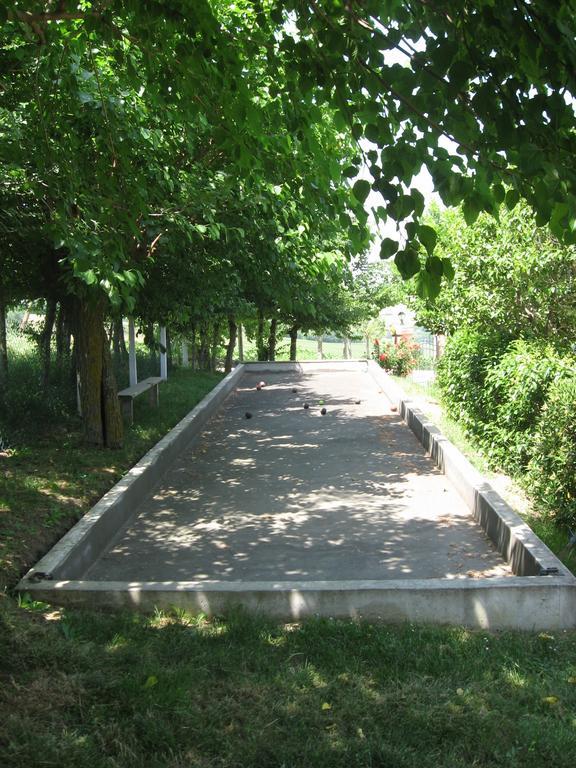 Apartment Il Giardino Degli Ulivi