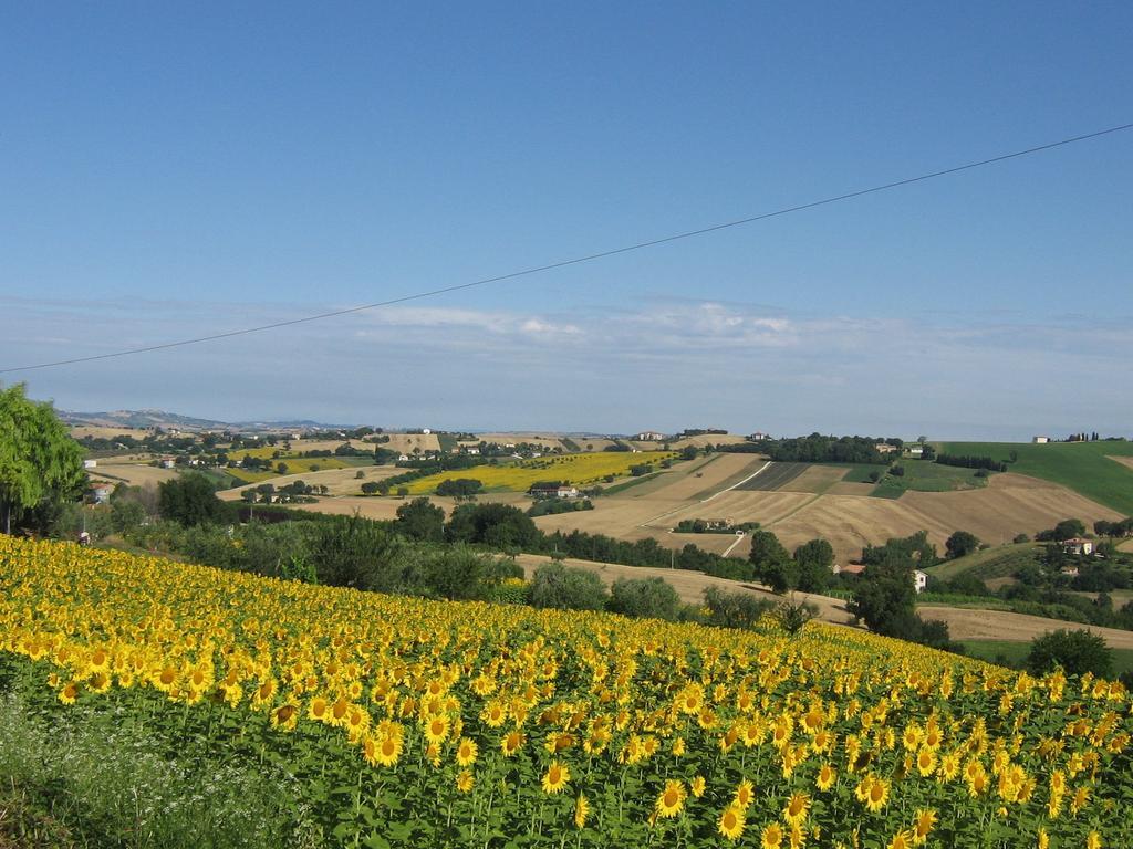 Il Giardino Degli Ulivi Appignano (Macerata)