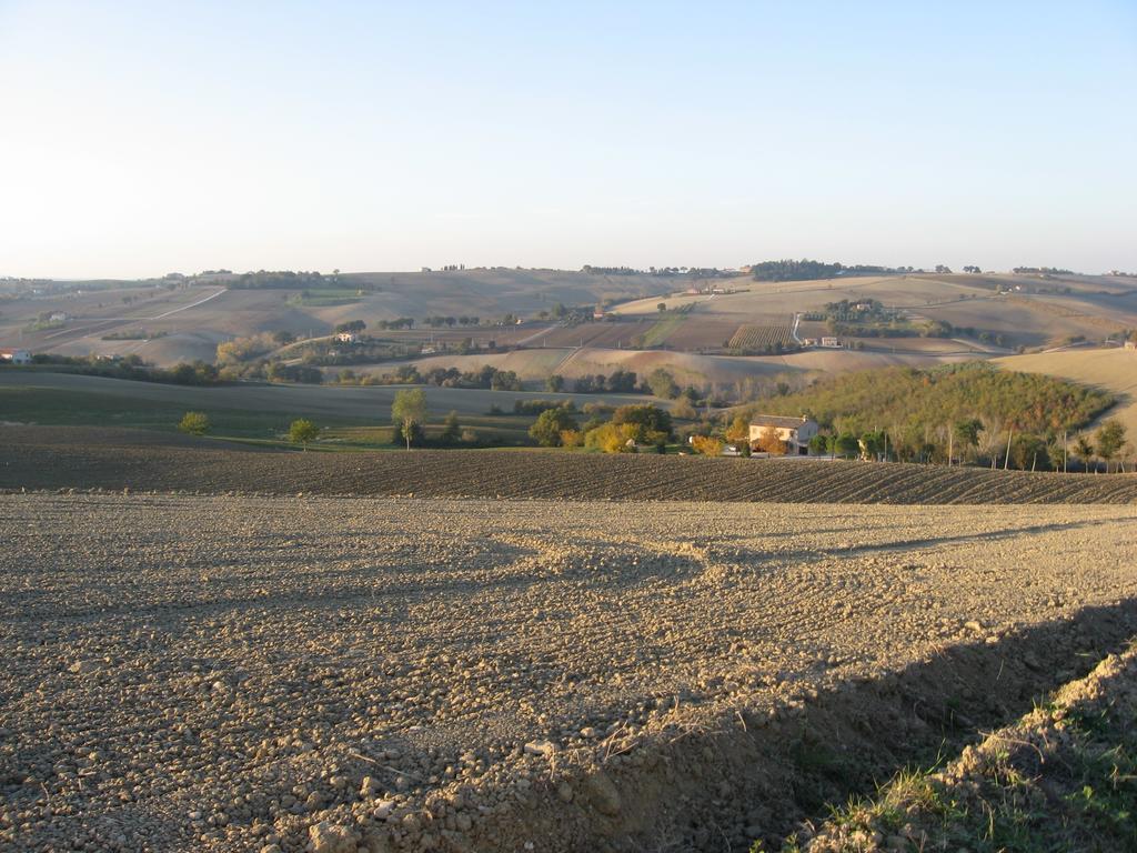 Il Giardino Degli Ulivi